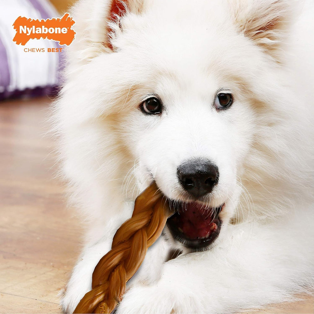 Nylabone premium nylon chew with subtle ridges for freshness and breath.