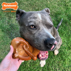 Nylabone Pretzel Power Chew Toy bacon-flavor entices dogs for satisfying flavor exploration