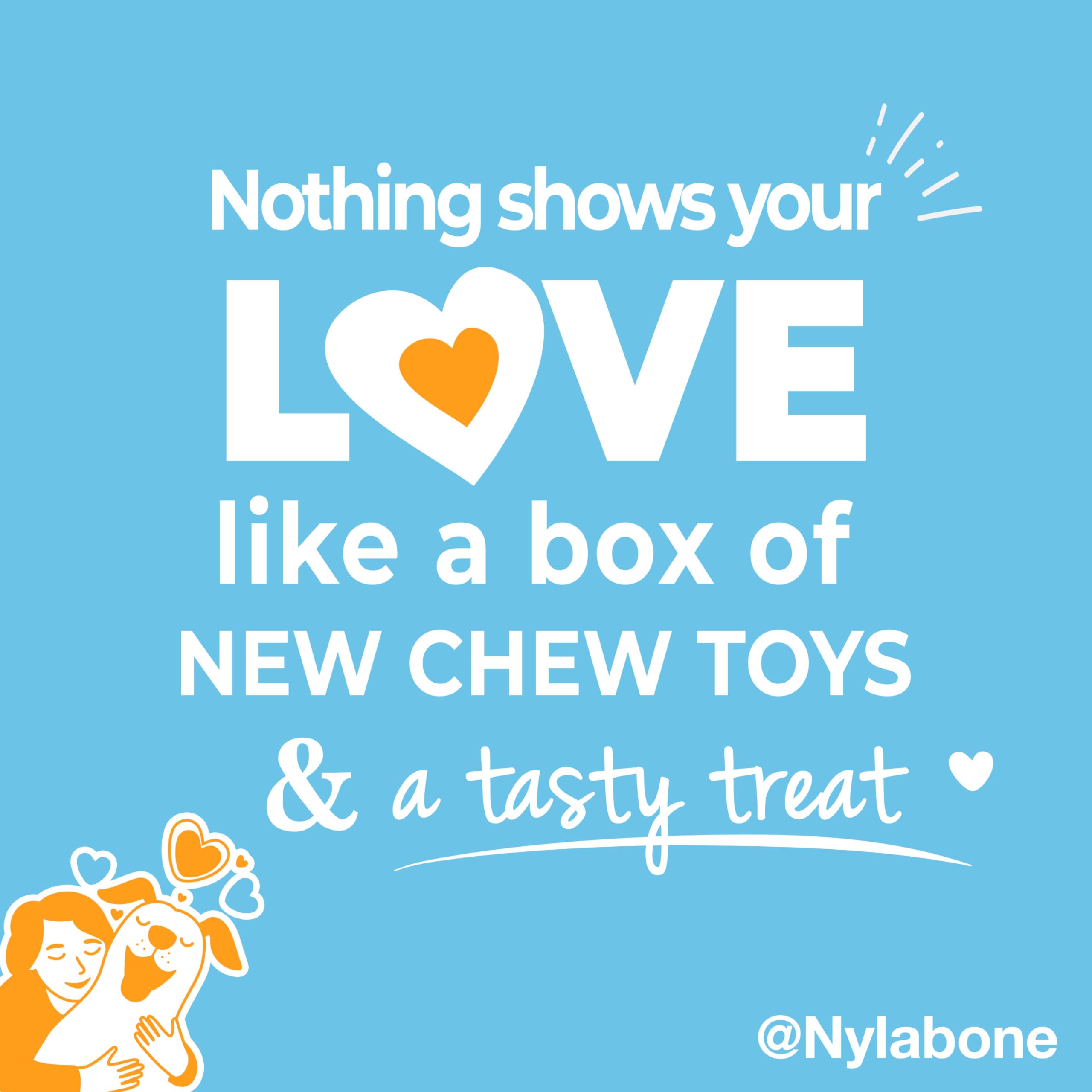 Nylabone Bone chew toy in authentic shape for satisfying teething