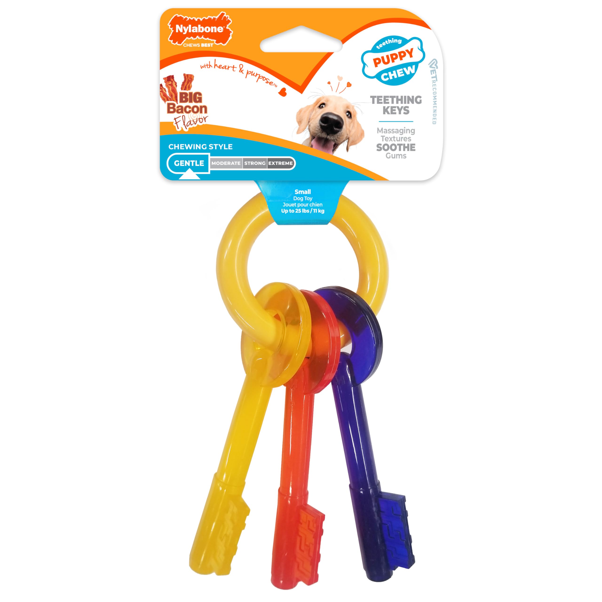 Nylabone Puppy Chew Key Ring Toy veterinarian-recommended puppy chew toy