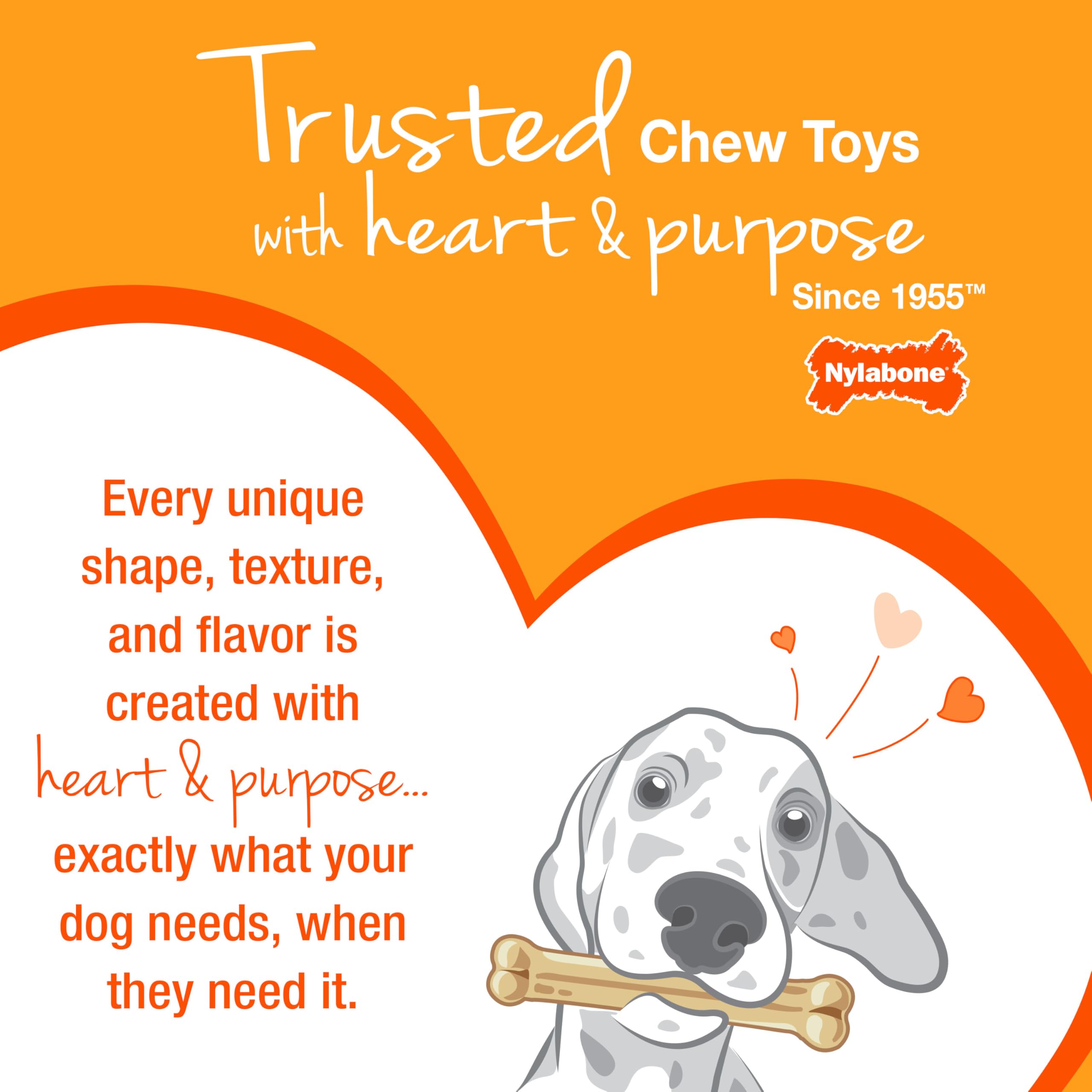Nylabone Puppy Chew Teething Bone closeup texture supports safe chewing during teething.