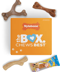 Nylabone Puppy Gift Box featuring three chew toys for healthy teething