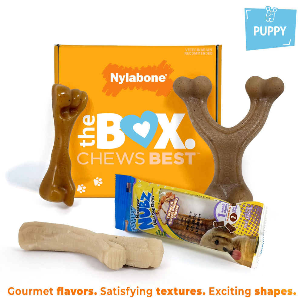 Nylabone Stick chew toy with bark texture for puppies