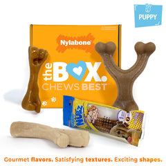 Nylabone Stick chew toy with bark texture for puppies