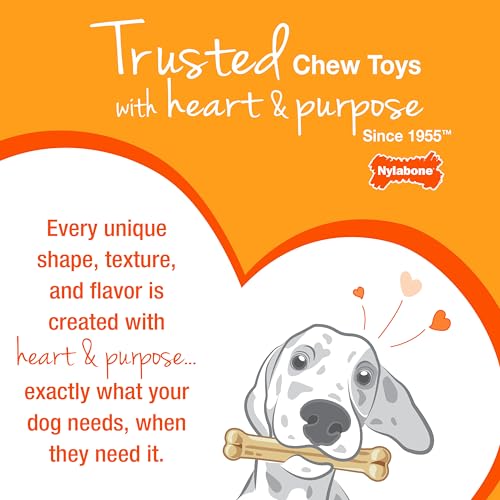 Nylabone Real Wood Stick Toy closeup shows durable chew surface for active dogs