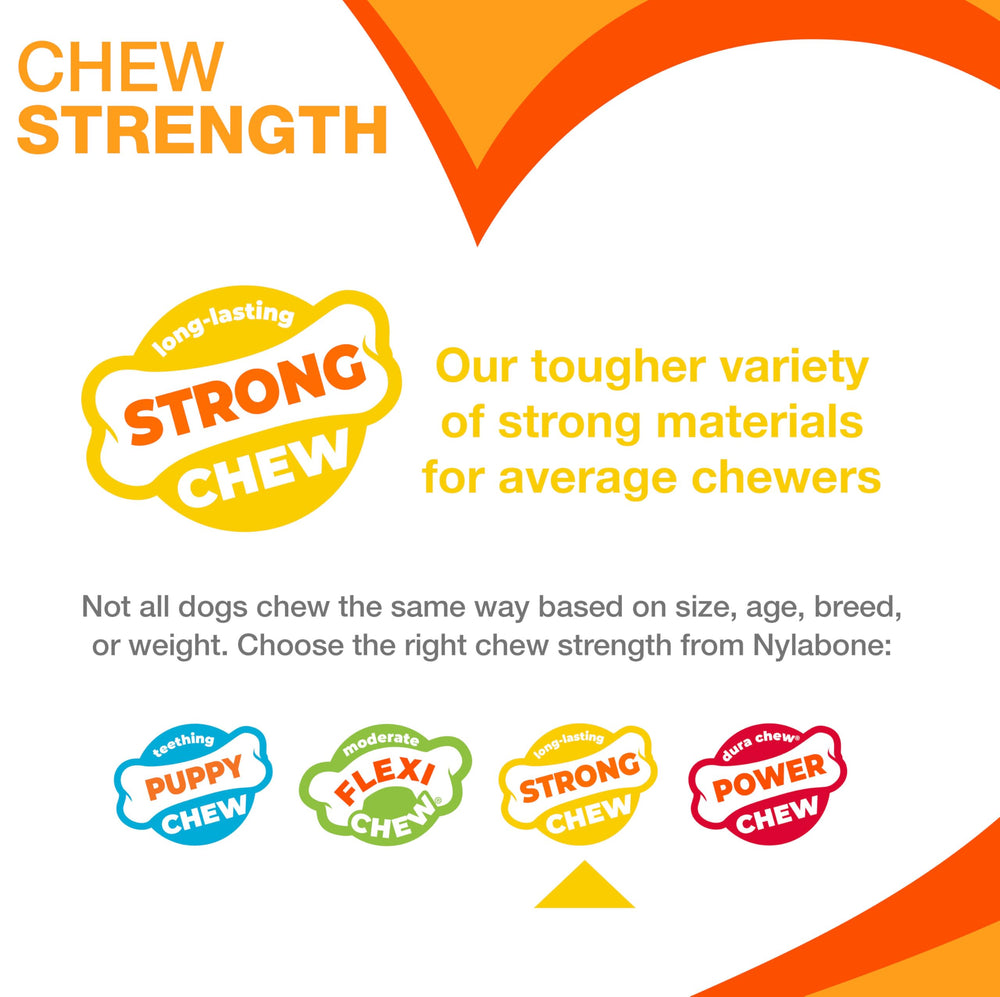 Nylabone Real Wood Stick Toy strong chew up to 35 lbs in action