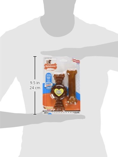 Nylabone Ring Bone nylon segment for puppies with adult teeth