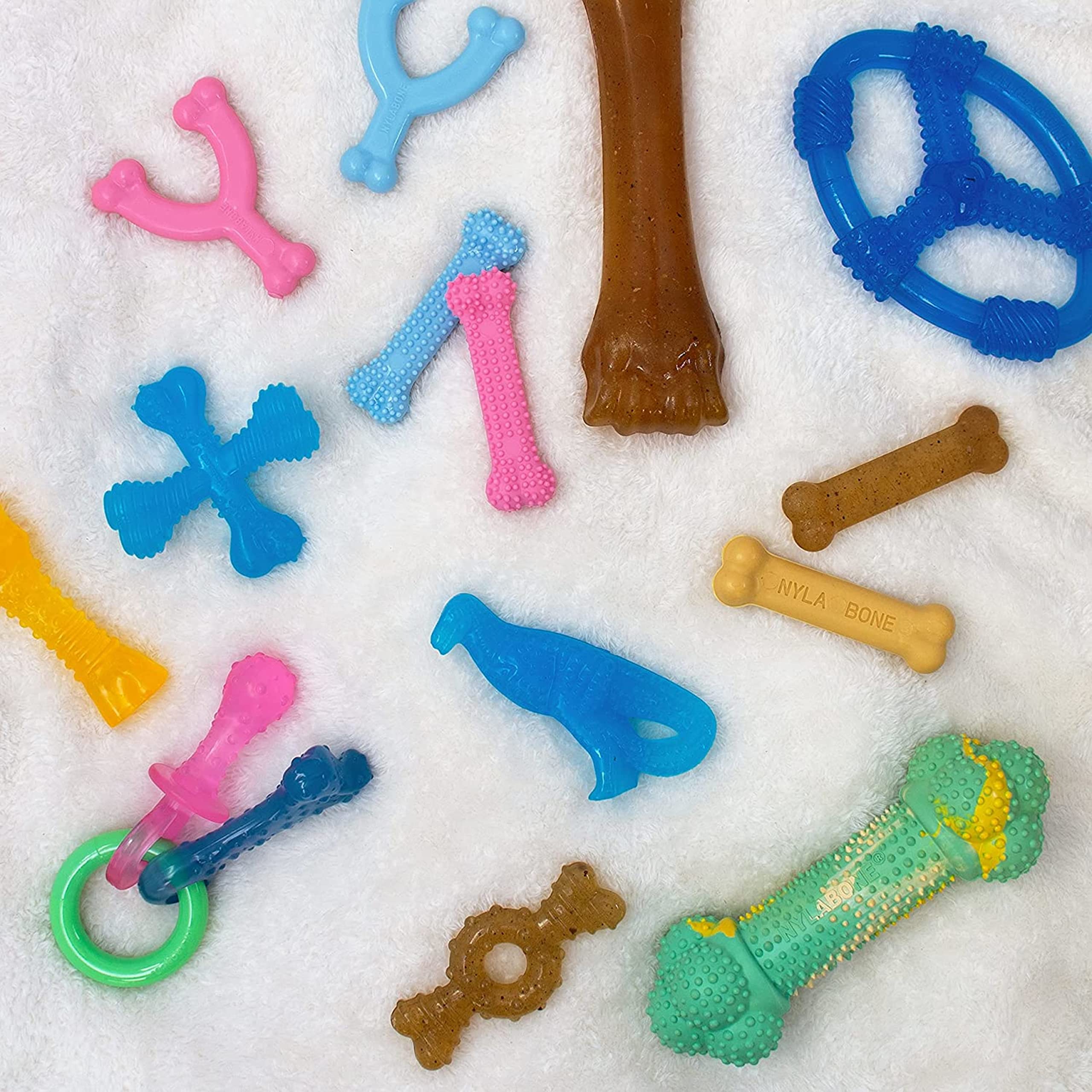 Nylabone Ring Bone two-toy pack arranged for playtime and dental care