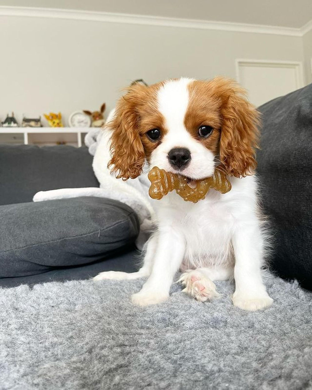 Nylabone Ring Bone puppy enrichment toy for durable long-play sessions