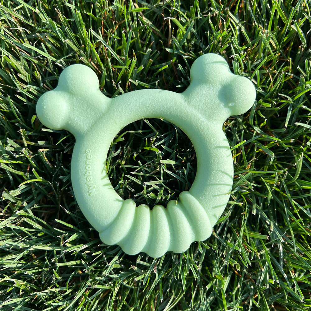 Nylabone Ring helps deter boredom with engaging chew play.