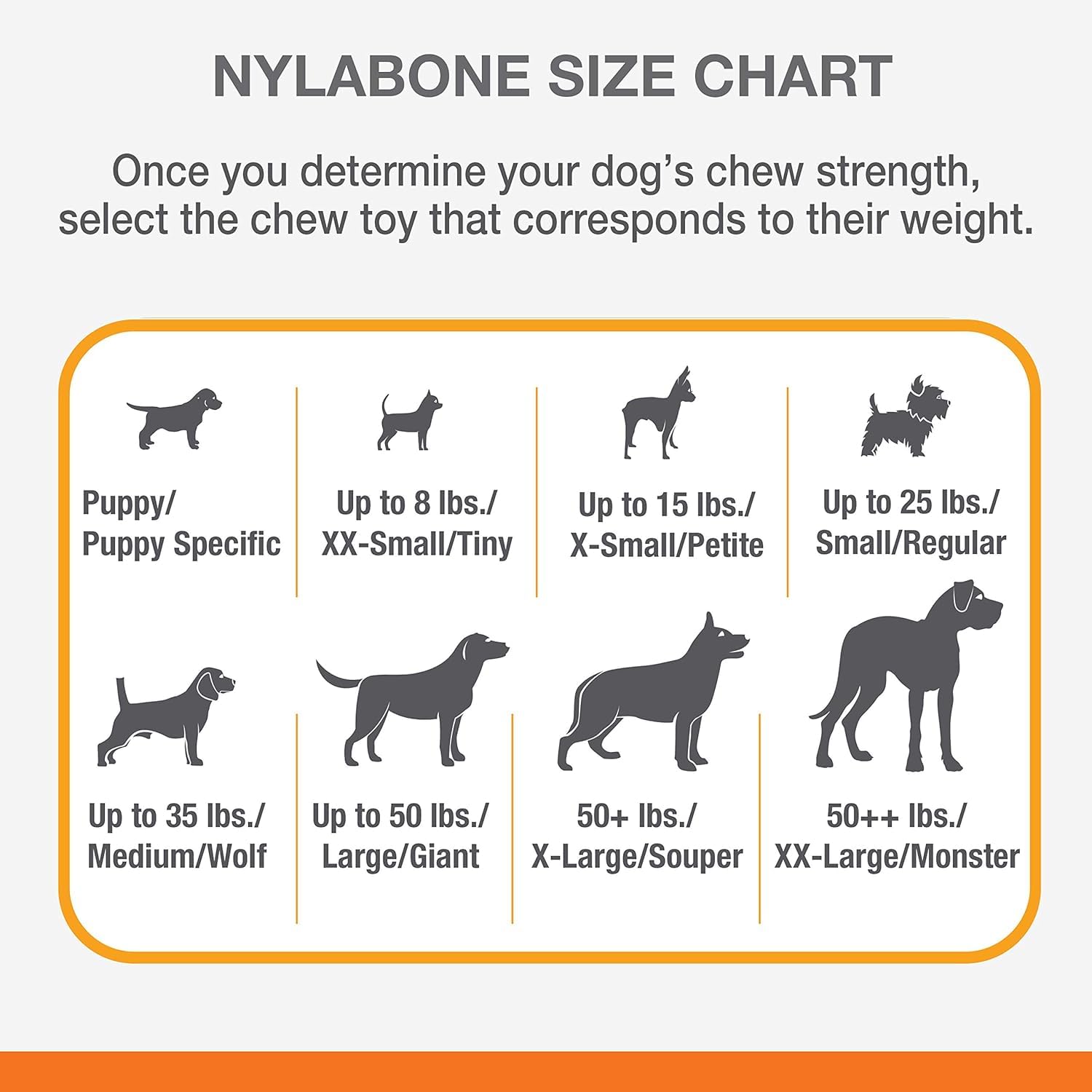 Nylabone savory flavor with no grease, an appealing chew.