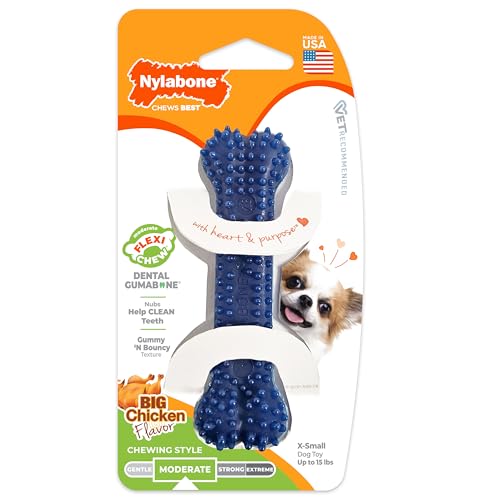 Nylabone small-dog chew toy shown beside owner for scale