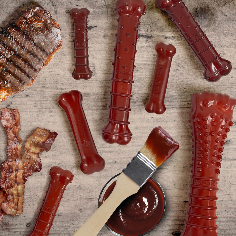 Nylabone Textured Bone Power Chew exclusive basting technique adds extra flavor