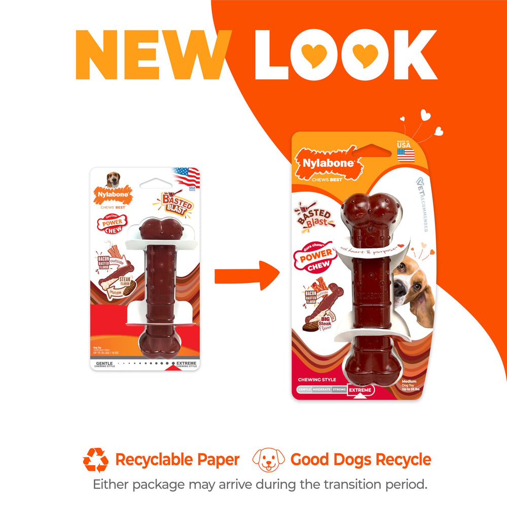 Nylabone Textured Bone Power Chew inside steak layer reveals flavor during chewing