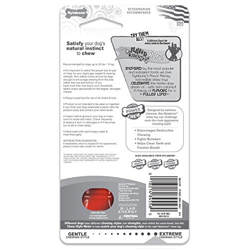 Nylabone Textured Bone Power Chew Toy ideal after meals for mindful chewing.