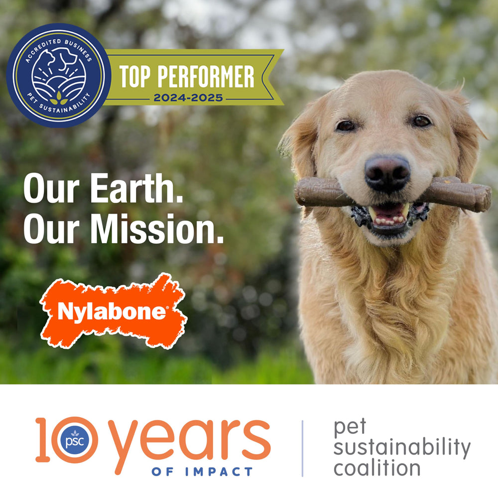 Nylabone Textured Bone Power Chew Toy for aggressive chewers—built tough.