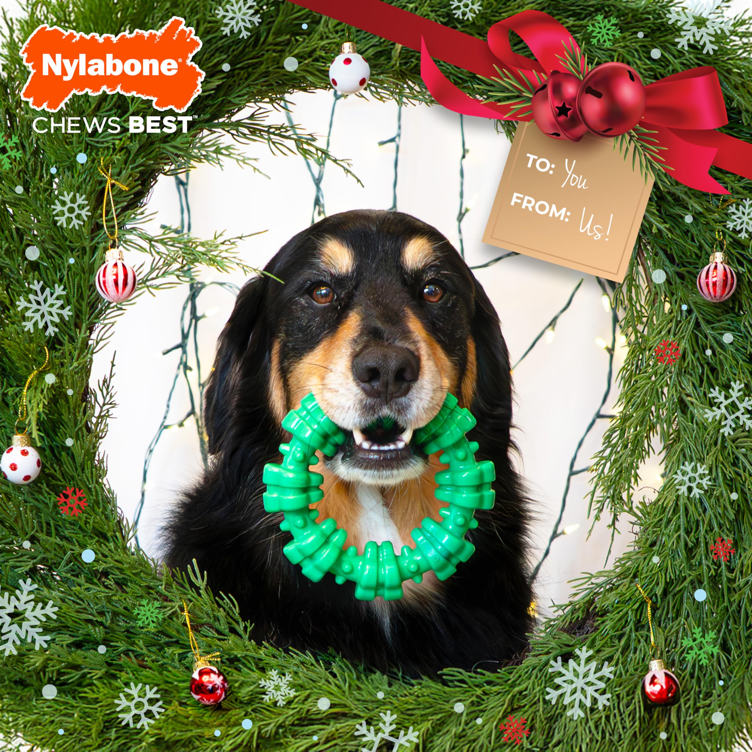 Nylabone textured-ring-dog-chew-extreme-chewer helps redirect aggressive chewing.