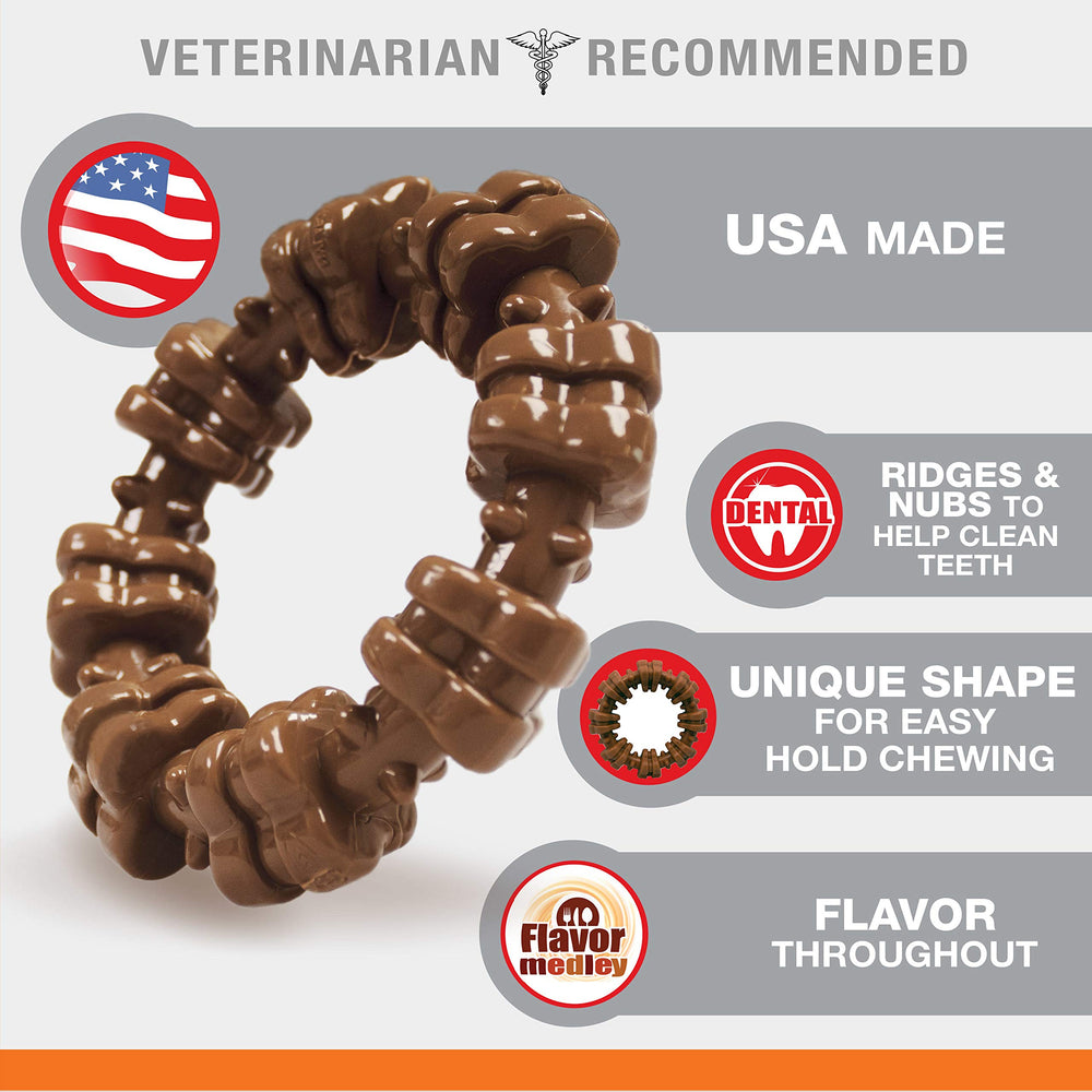 Nylabone textured ring Power Chew Toy in use redirects destructive chewing toward safe play