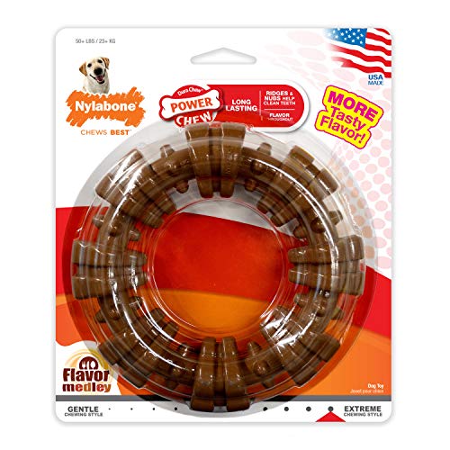 Nylabone textured ring power chew toy, dental ridges aid gum massage during chewing.