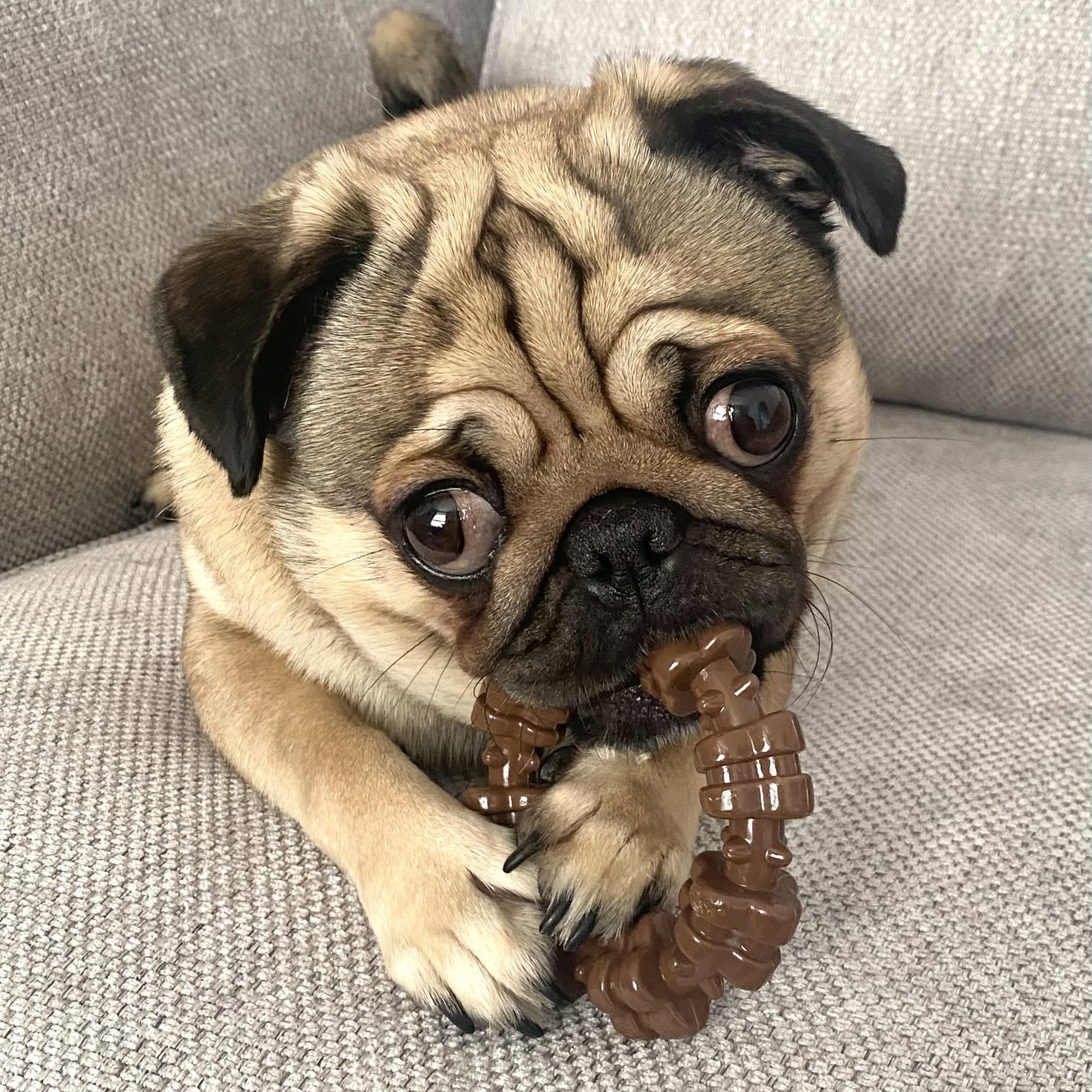 Nylabone textured ring Power Chew Toy close-up highlights textured ridges for plaque control