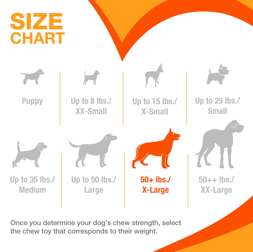 Nylabone textured ring power chew toy, USA-made craftsmanship supports safe chewing habits.