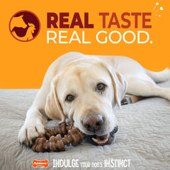 Nylabone textured ring ridges and nubs for teeth cleaning during chewing.