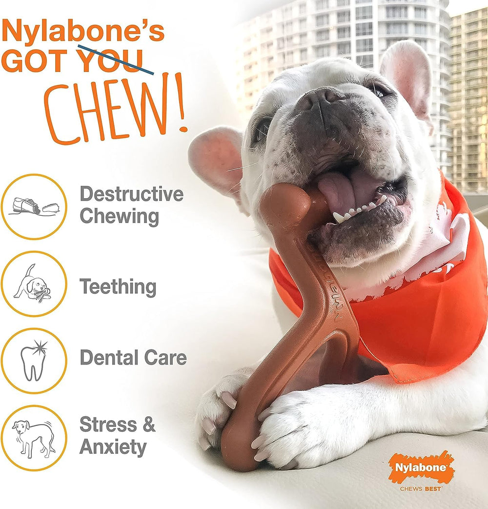 Nylabone textured surface highlights dental health support during chews.