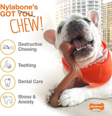 Nylabone textured surface highlights dental health support during chews.