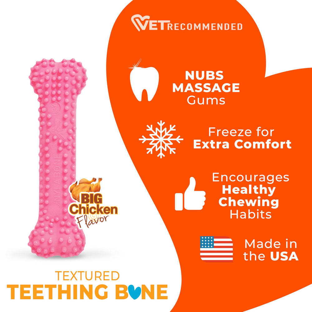 Nylabone teething bone textured detail supports developing teeth and gum comfort.