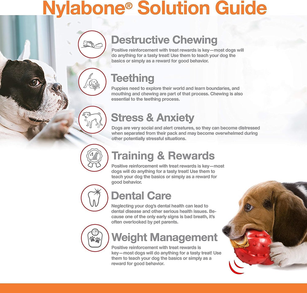 Nylabone two-pack helps redirect destructive chewing.