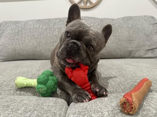 Nylabone vegetable-inspired chew toy for varied playtime