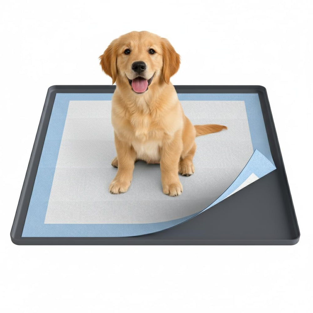 Nyoria pee pad holder raised edge design prevents leaks and spills.