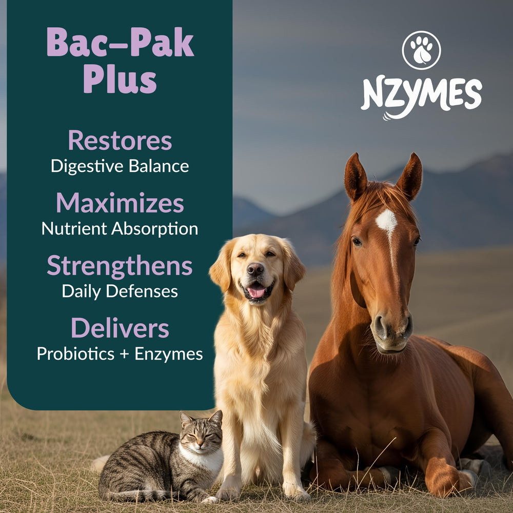 Nzymes Bac-Pak Plus label showing ingredients and probiotic blend