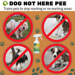OAIEGSD spray applied to an area to discourage dog marking in the home
