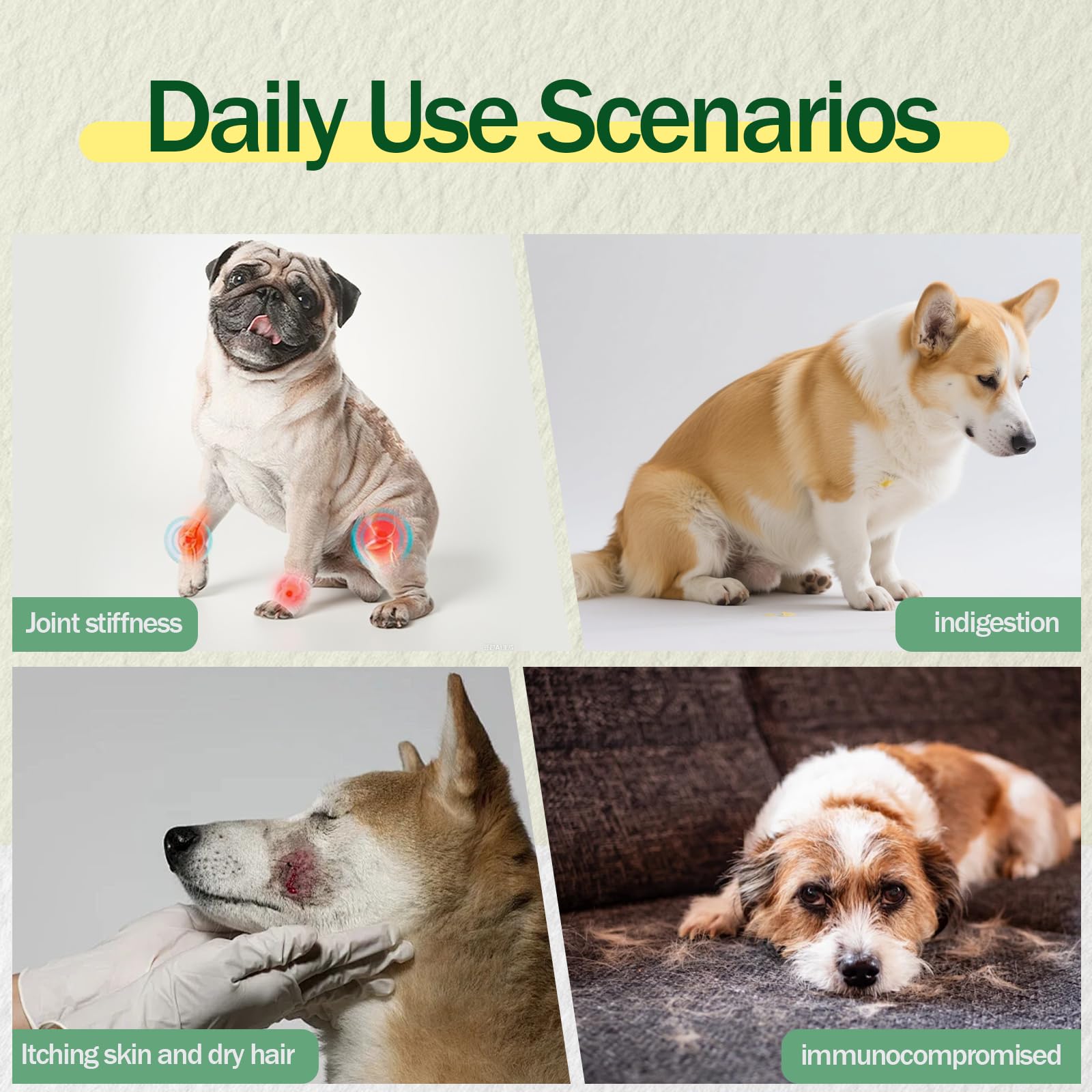 OailyMutra bacon pumpkin flavor dog loves, making daily supplementation more enjoyable.