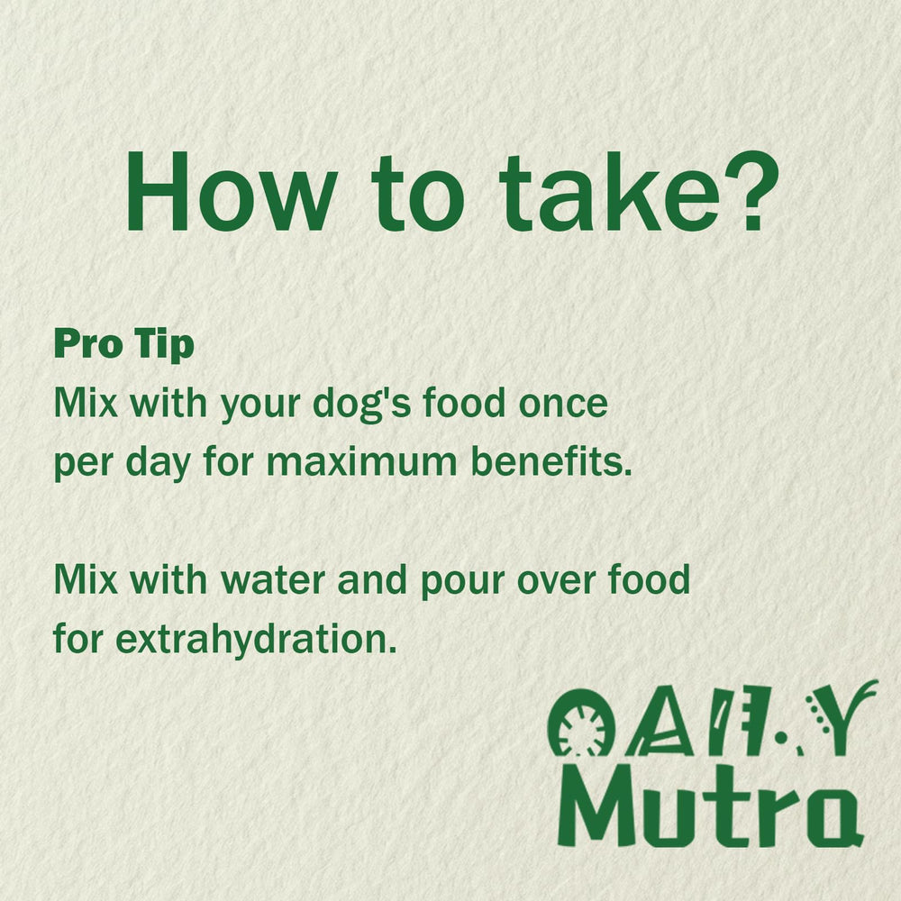 OailyMutra label closeup emphasizes chondroitin for joint flexibility support.