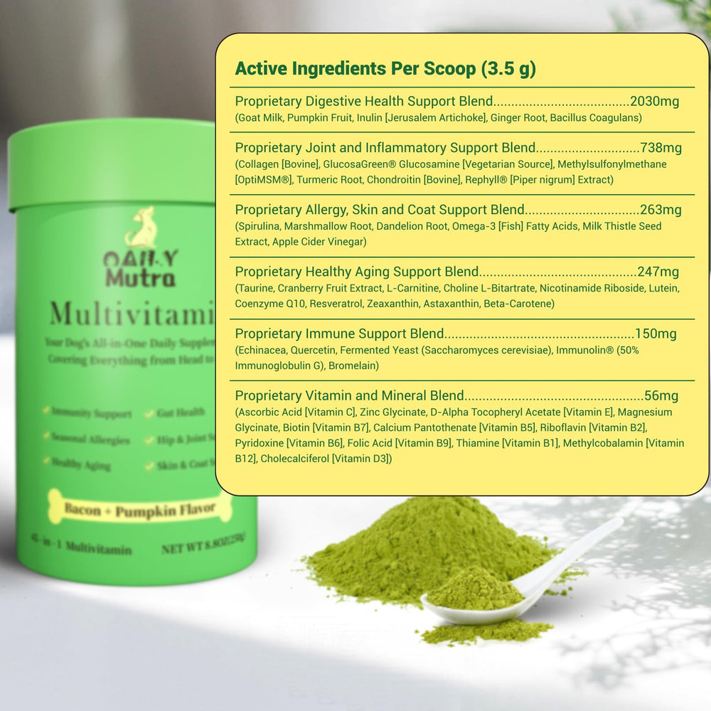 OailyMutra dog multivitamin powder poured into food supports easy daily nutrition.