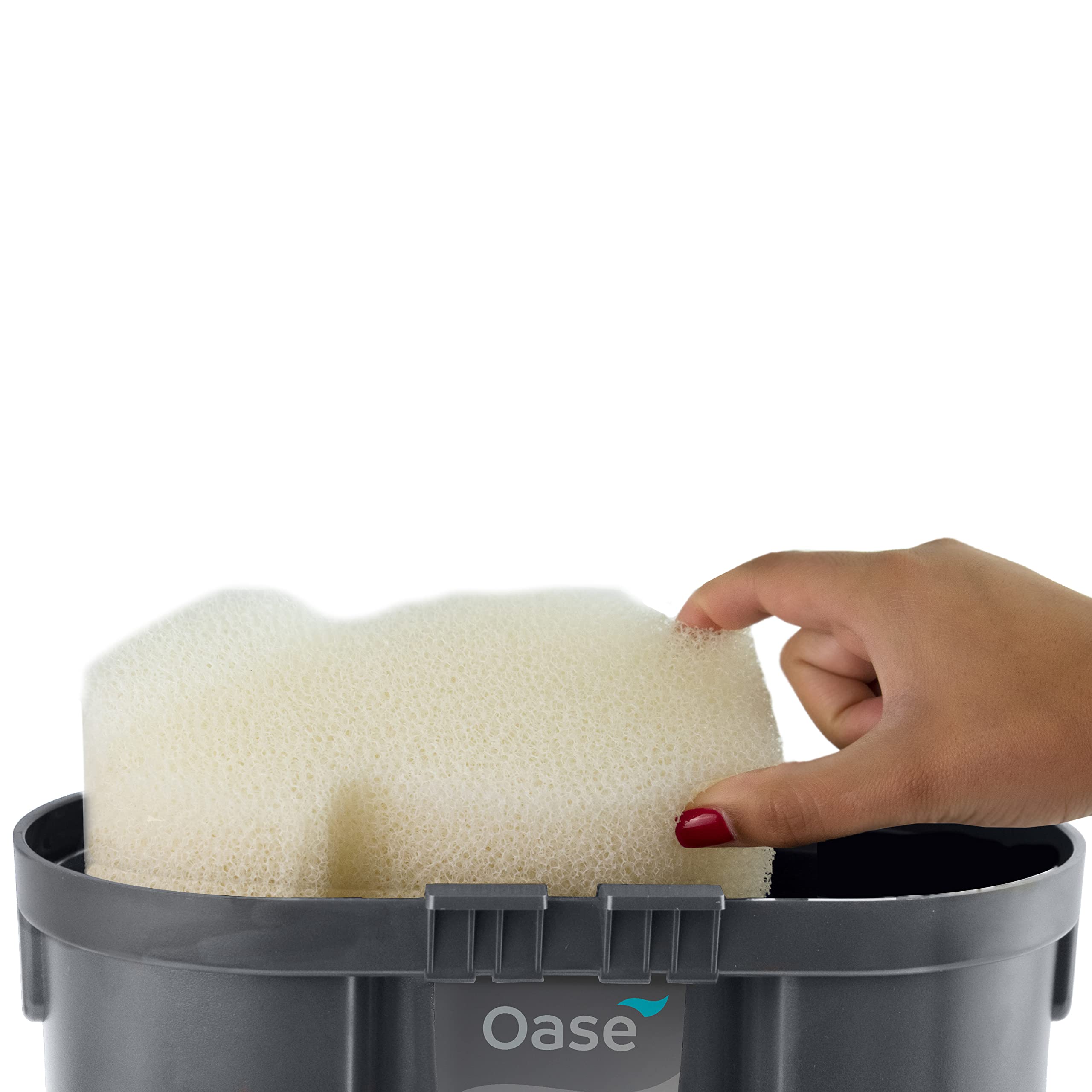OASE Filtosmart Thermo 300 unobstructed-view tank image demonstrates clear aquarium display.