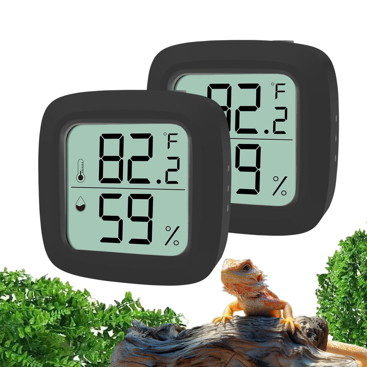 Oasirep Black 2-Pack front view shows dual-zone readouts for terrarium climate checks.