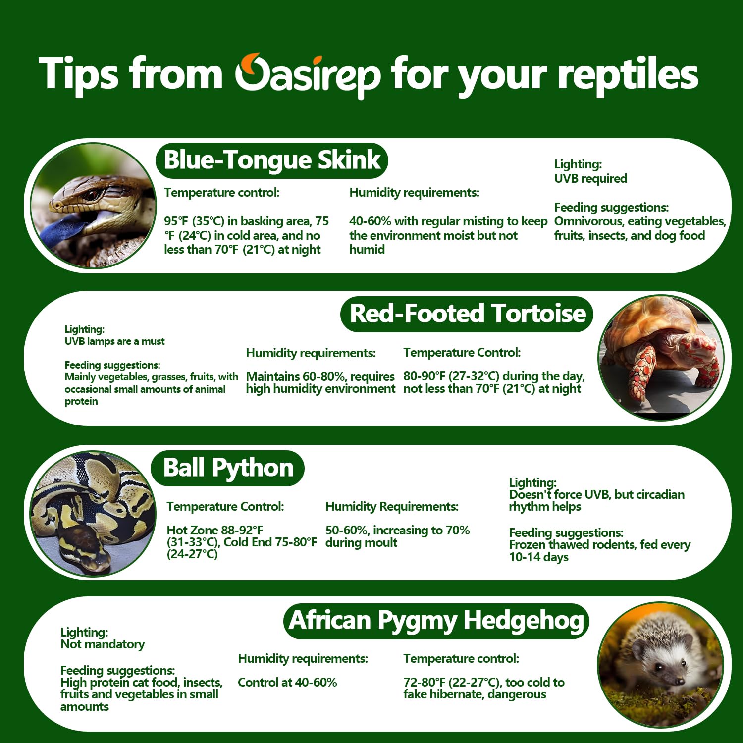 Oasirep Black 2-Pack ideal for small terrariums needing precise climate control.