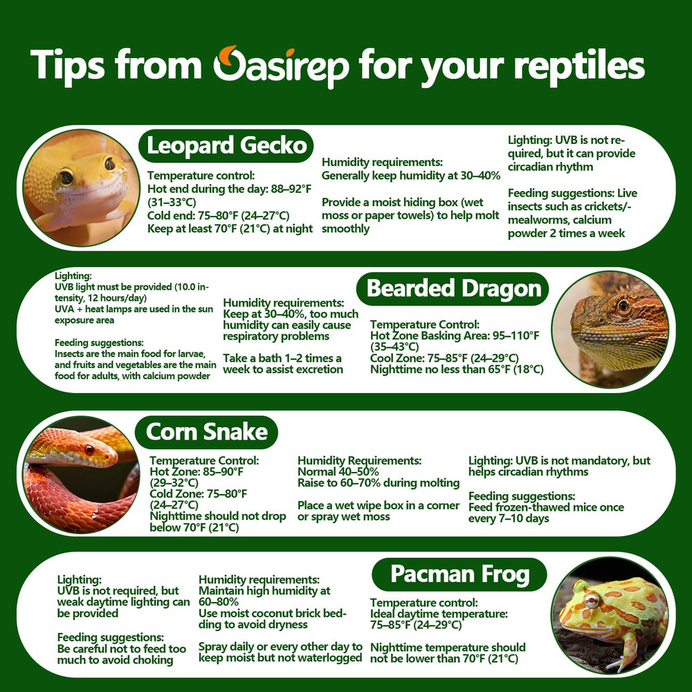 Oasirep thermometer-hygrometer adhesive-install simplifies tank setup.