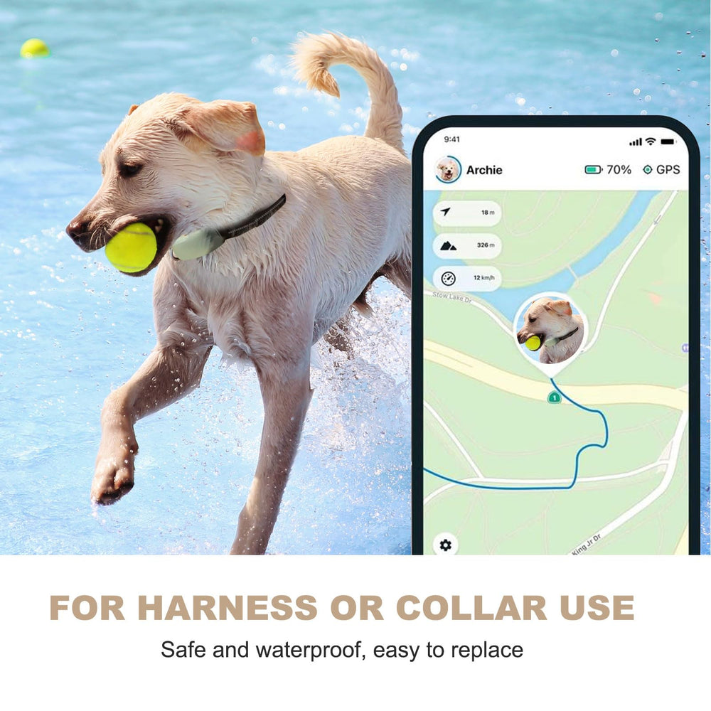 OatXtorpor Tractive XL clip holder keeps the tracker securely fastened.