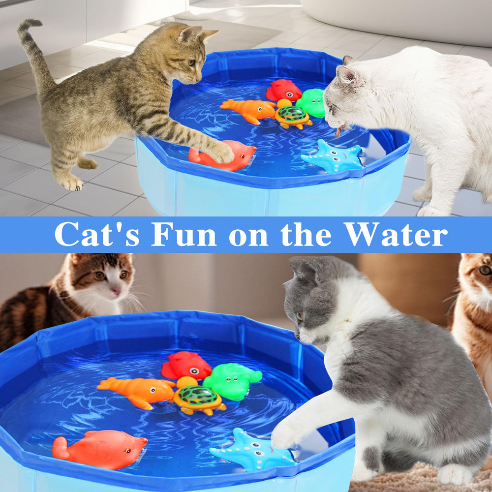Obfuscate cat pool toy indoor-outdoor play suitable for versatile living spaces.