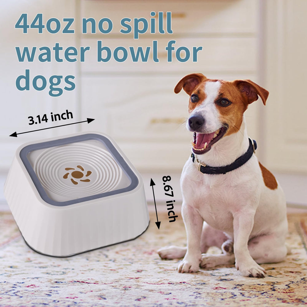 Ocean Ice no-spill-design bowl with elevated rim helps keep floors clean.