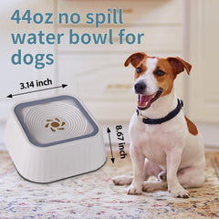 Ocean Ice no-spill-design bowl with elevated rim helps keep floors clean.