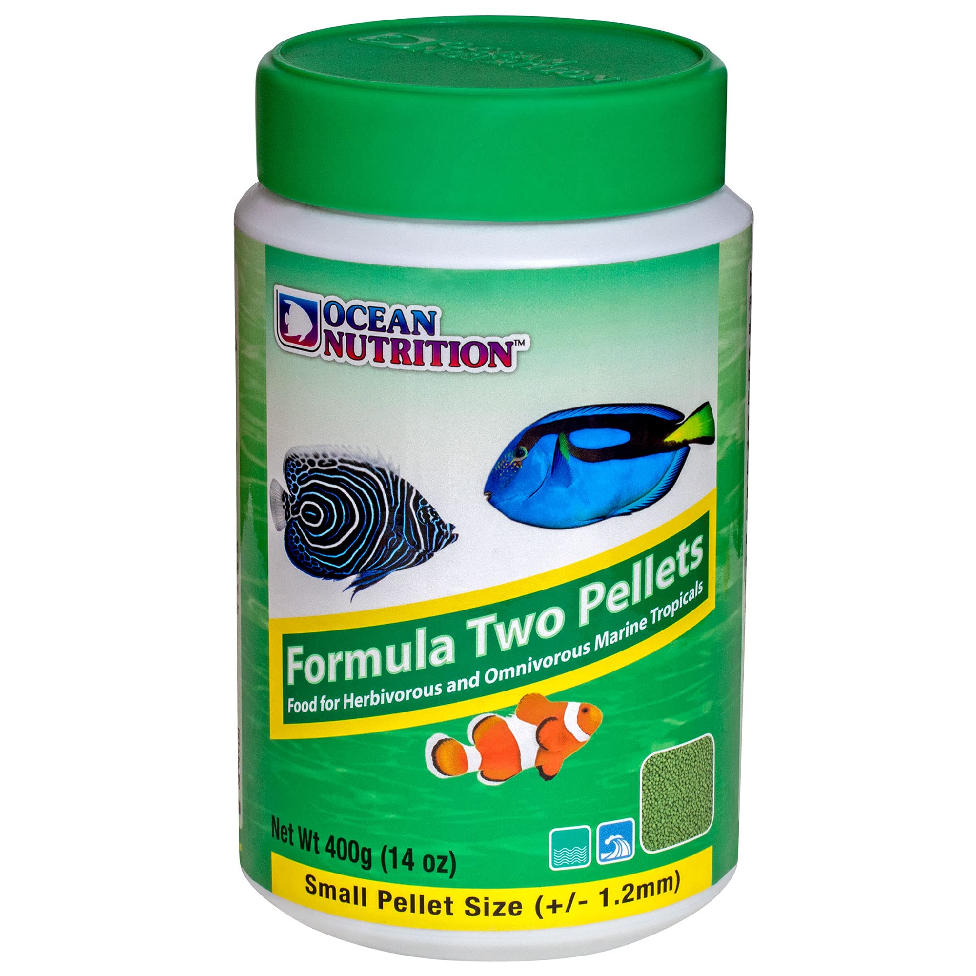 Ocean Nutrition Formula Two vibrant colors visible on fish fed with pellets.