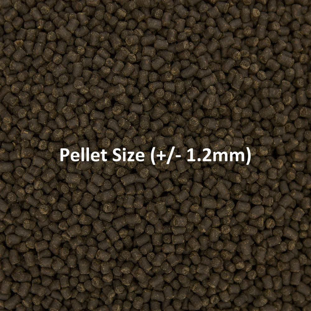 Ocean Nutrition Formula Two water-clearing pellets helping maintain clear aquarium water.