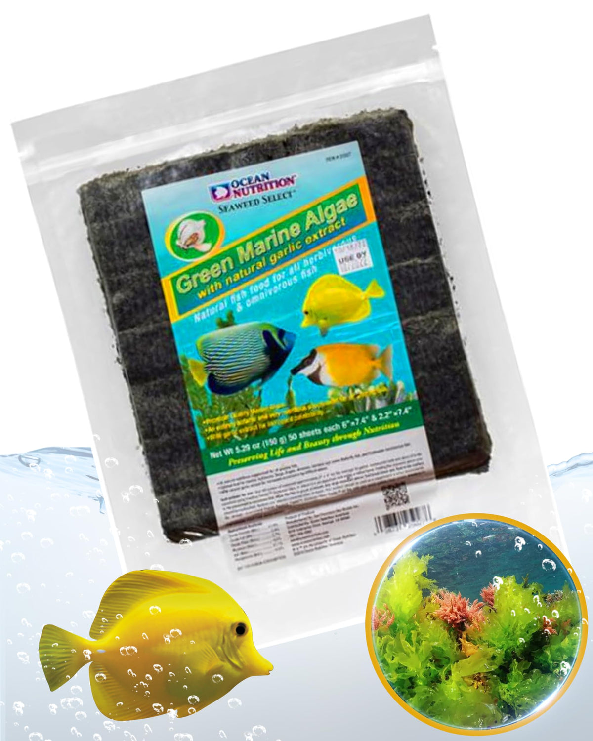 Ocean Nutrition Seaweed Select green algae sheet for grazing herbivores in marine tanks.