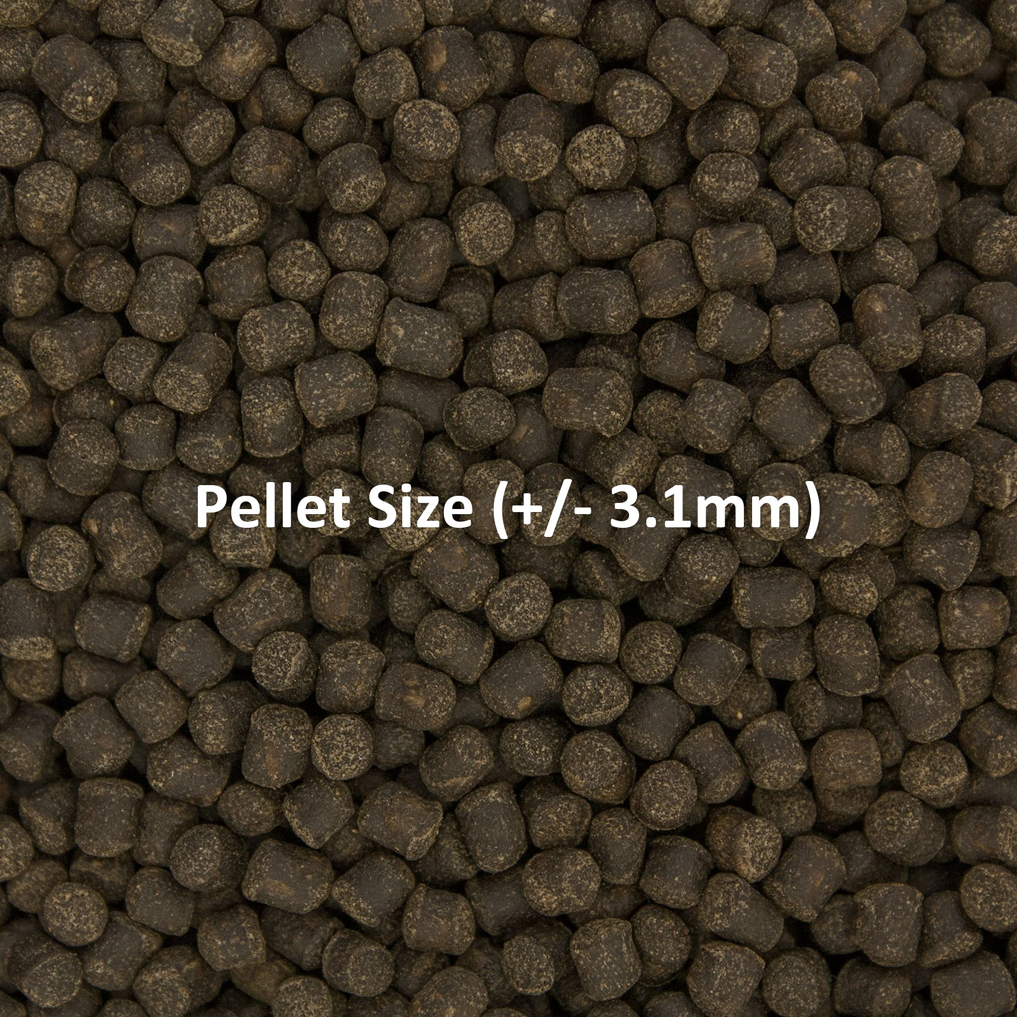 Ocean Nutrition Formula Two soft-moist pellets indicate gentle sinking for easy feeding.