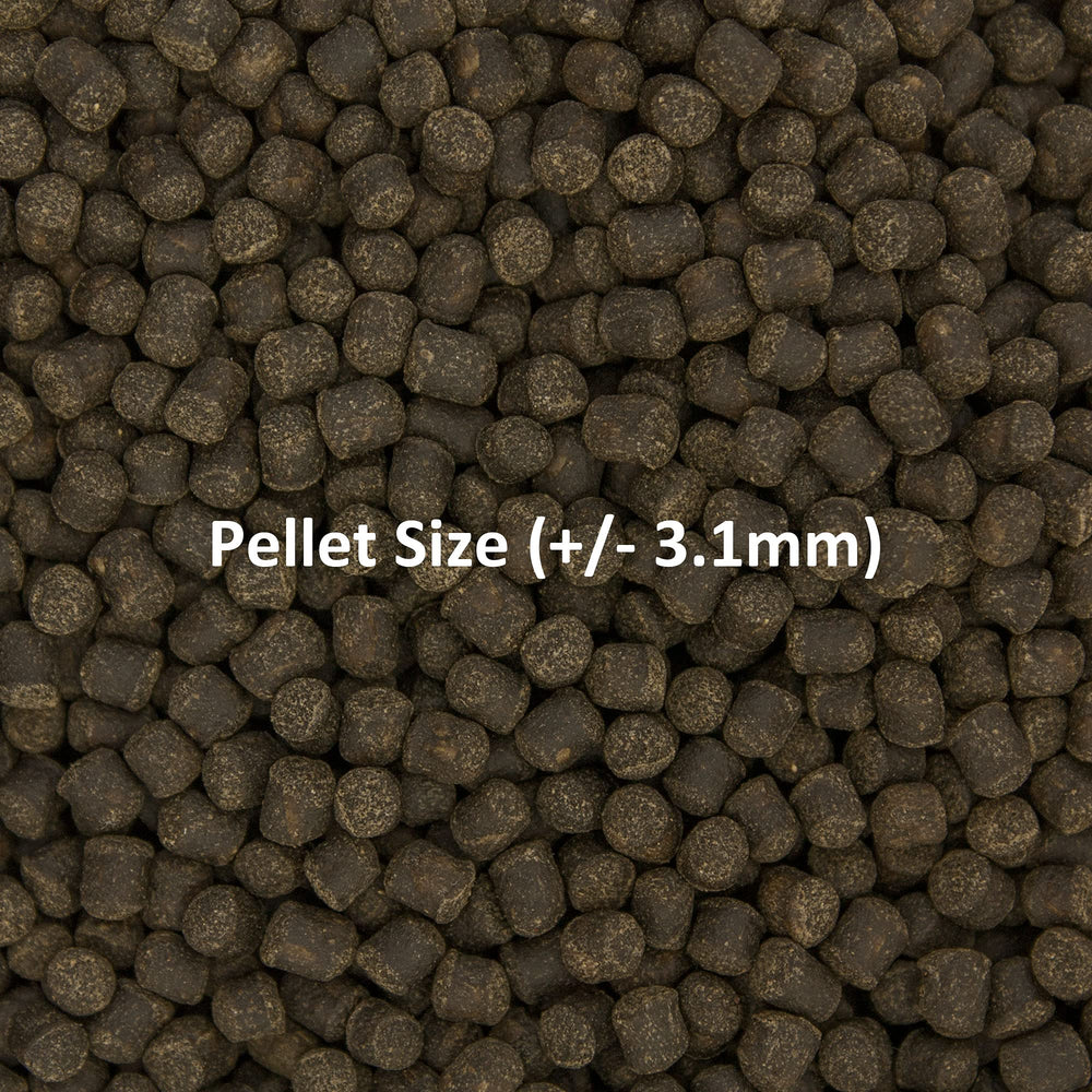 Ocean Nutrition Formula Two soft-moist pellets indicate gentle sinking for easy feeding.
